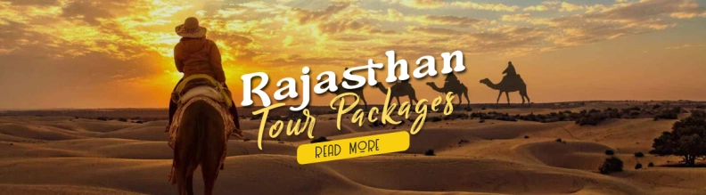 Rajasthan India Tour Driver hero image