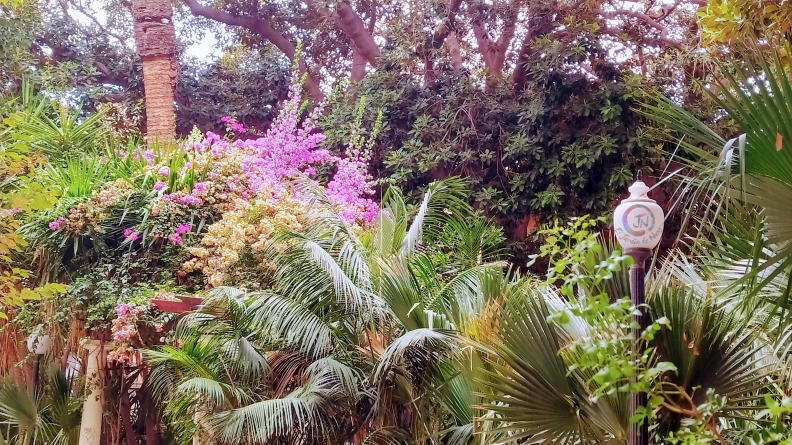 El Jardín de Nung imagen destacada