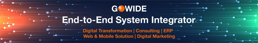 Gowide Solutions hero image