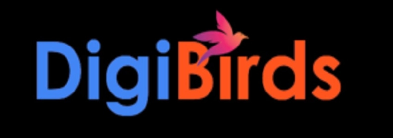 DigiBirds360: Performance Marketing Agency hero image