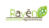 Rayen