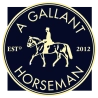 A GALLANT HORSEMAN