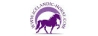 icelandic-horse.com